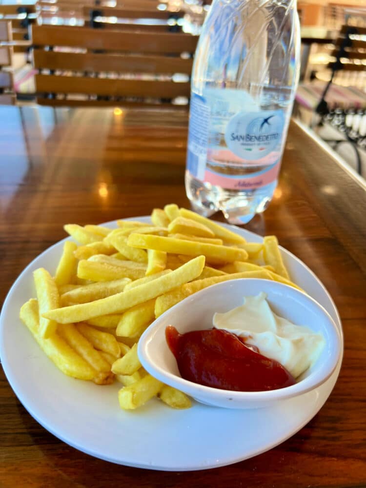 french-fries-with-mayochip