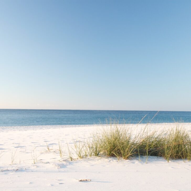 Things For Millennials To Do In Gulf Shores