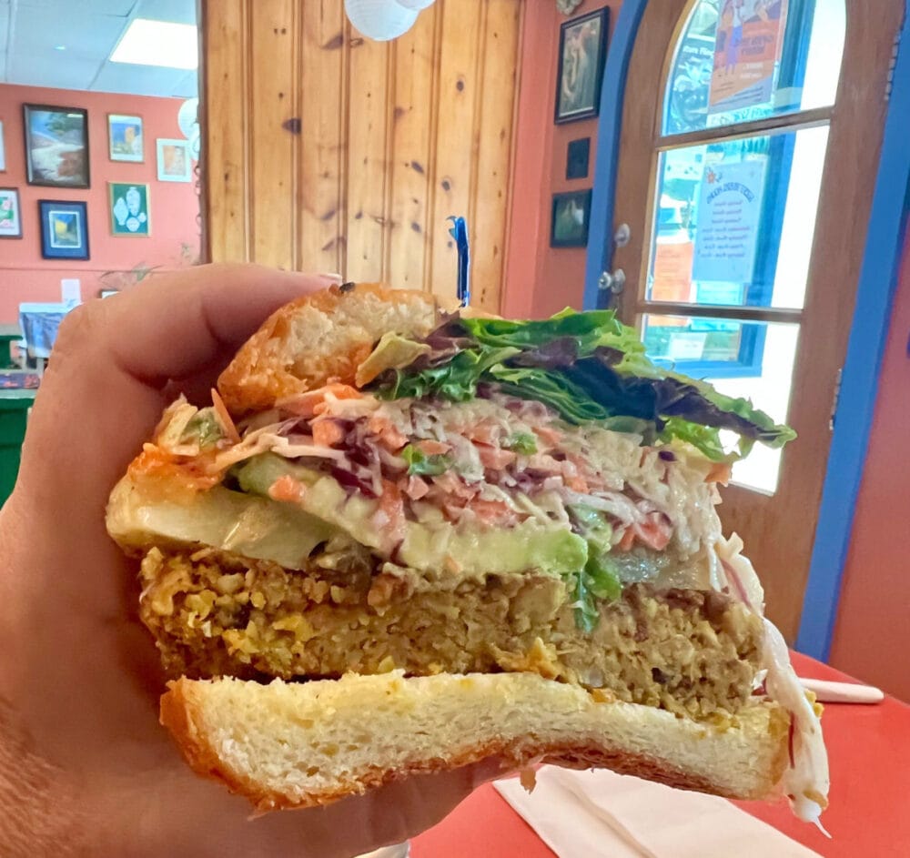 lucky-rivers-cafe-vegetarian-sandwich