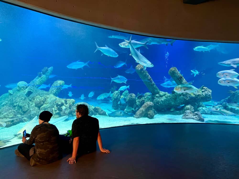 biopark-aquarium