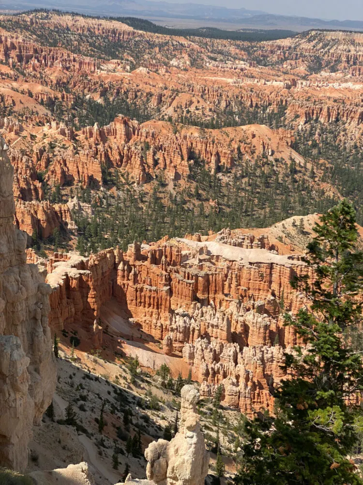 bryce-canyon-aerial-view