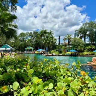 animal-encounters-seaworld-theme-park