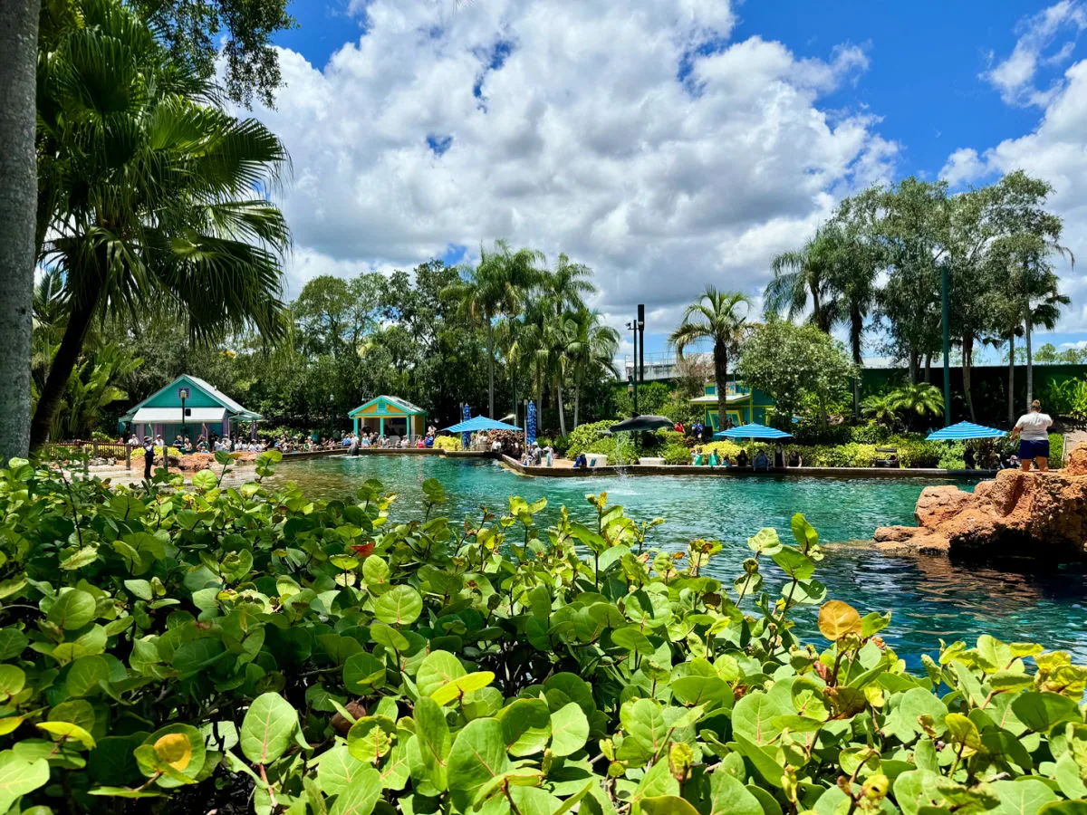 animal-encounters-seaworld-theme-park