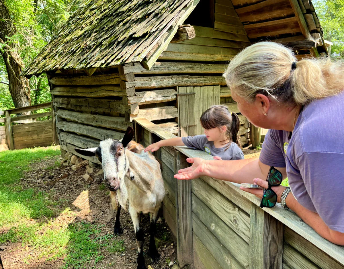 petting-a-goat-at-burritt-on-the-mountain