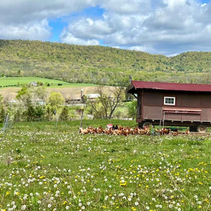 6 Amazing Things in Happy Valley You Won’t Want to Miss