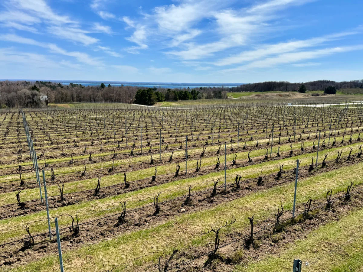 brys-estate-vineyard-and-winery
