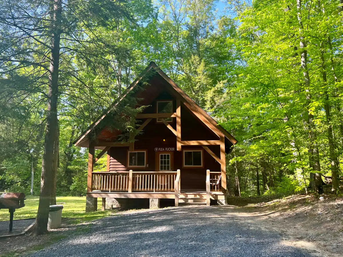 flea-flicker-cabin