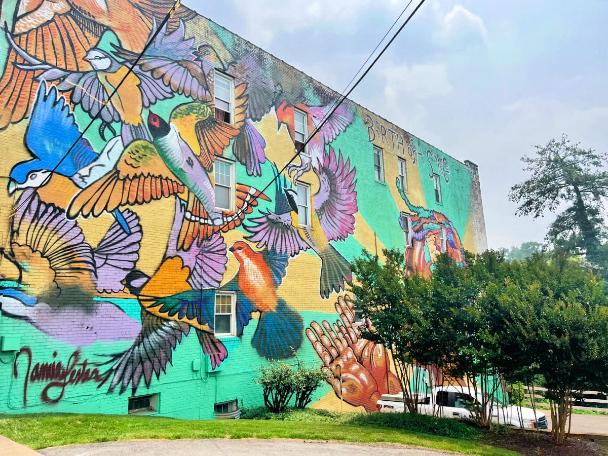 where-to-eat-in-morgantown-mural-birds