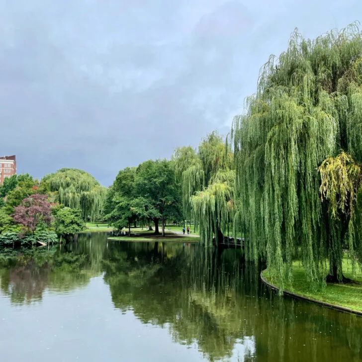 A Packed Boston Itinerary: 3 Days for First Timers