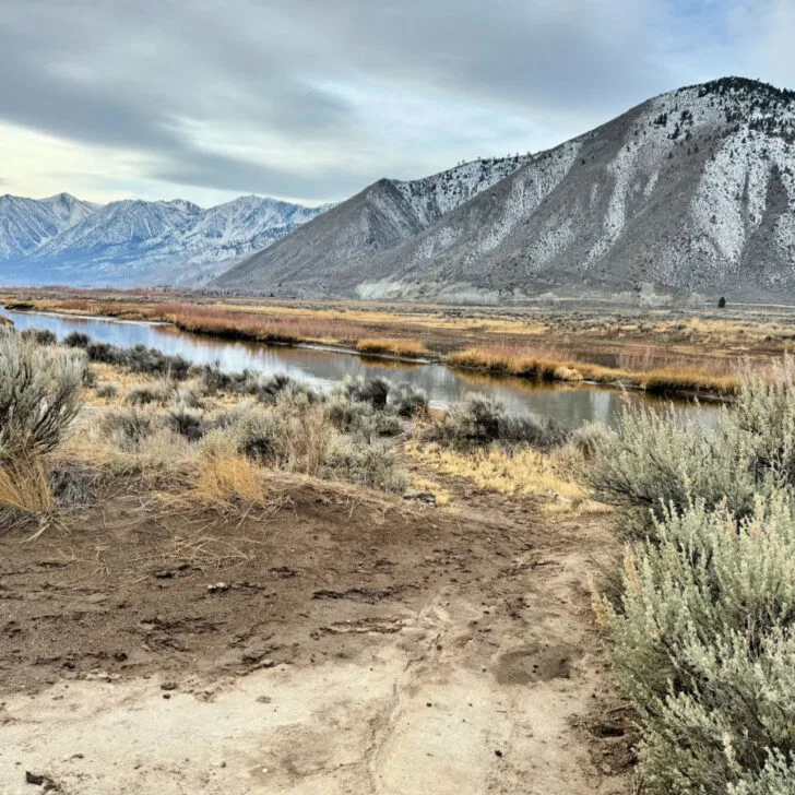 Exciting Things to Do in the Carson Valley You Won’t Want to Miss