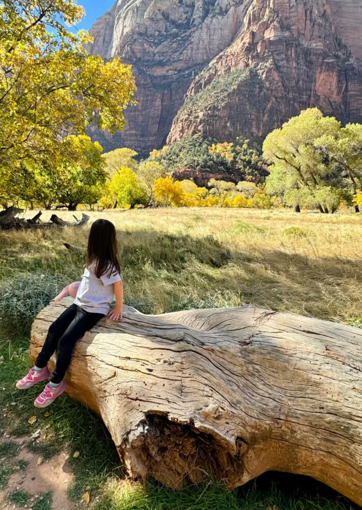 zion-national-park-kid-on-driftwood
