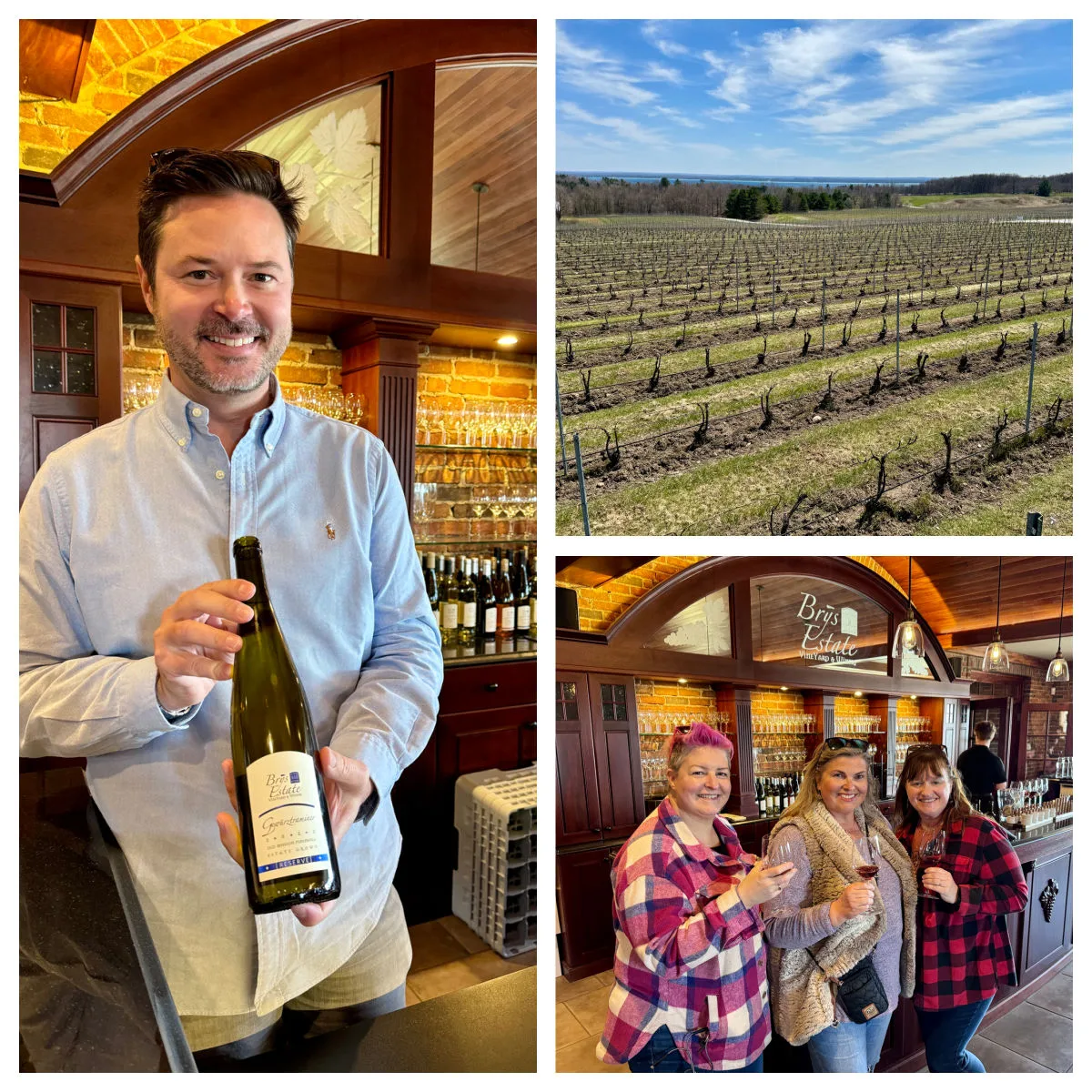 bryn-winery-traverse-city