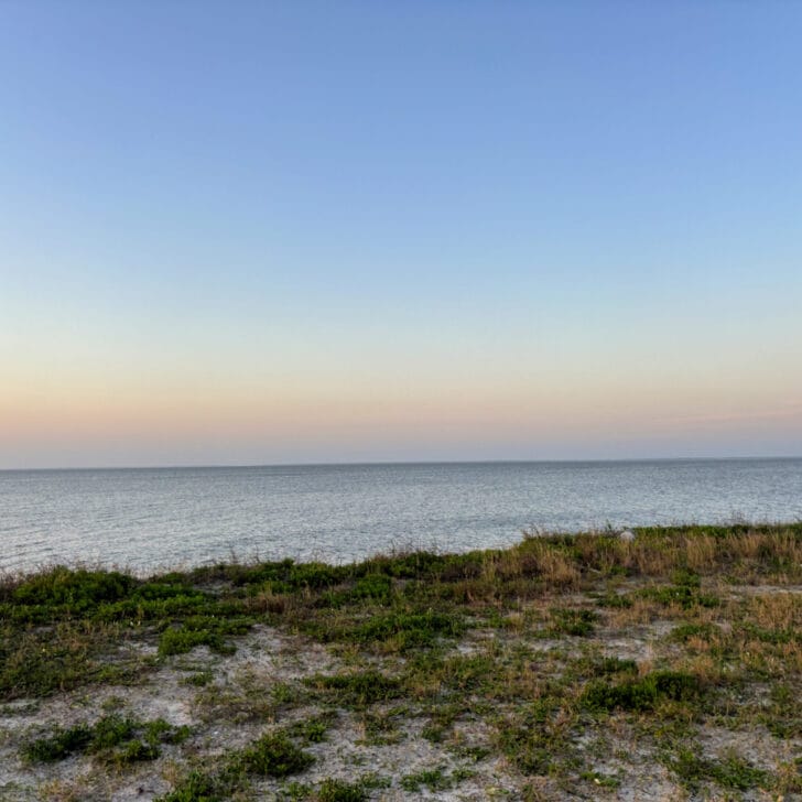 6 Fun Things To Do In Fort Morgan, Alabama
