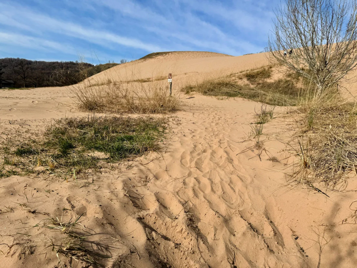sleeping-bear-dunes-near-traverse-city