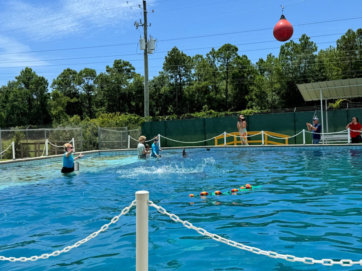 ocean-adventures-marine-park-gulfport