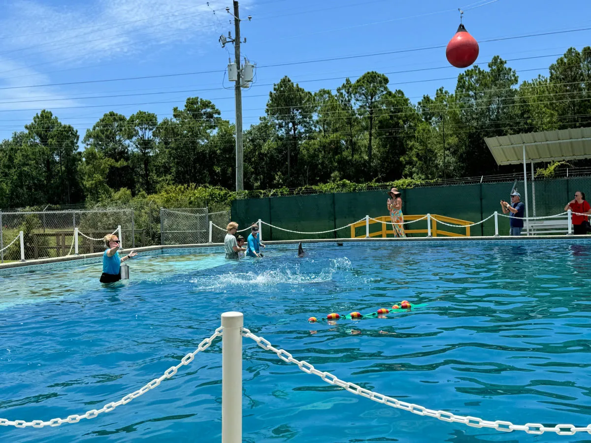 ocean-adventures-marine-park-gulfport