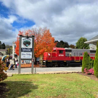 blue-ridge-railroad-train-car