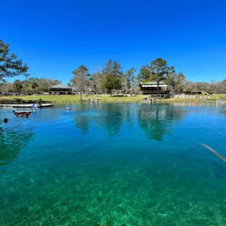 blue-water-at-vortex-spring-florida