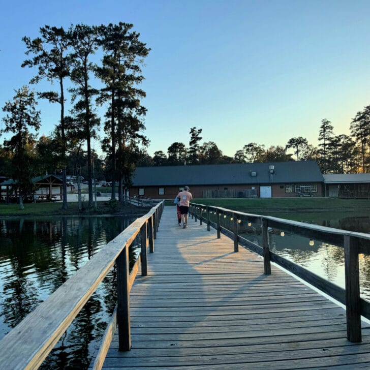 59 Cool Things to Do in Mississippi: Adventures Across the Magnolia State