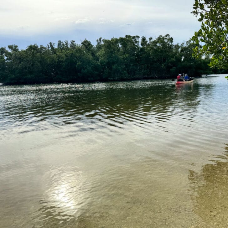Hidden Delights At Lovers Key State - Kayaker Lovers Key State Park 728x728 