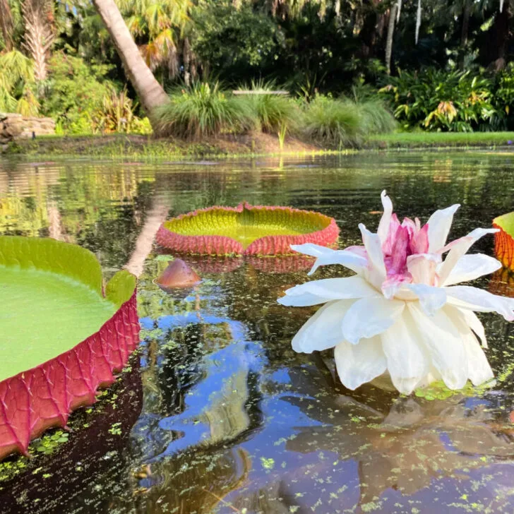 Exploring Nature’s Paradise: Ecotourism in Vero Beach