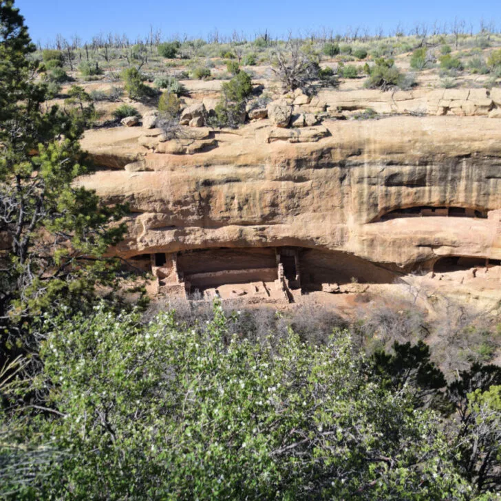 Experiencing Mesa Verde National Park (and RVing Nearby)