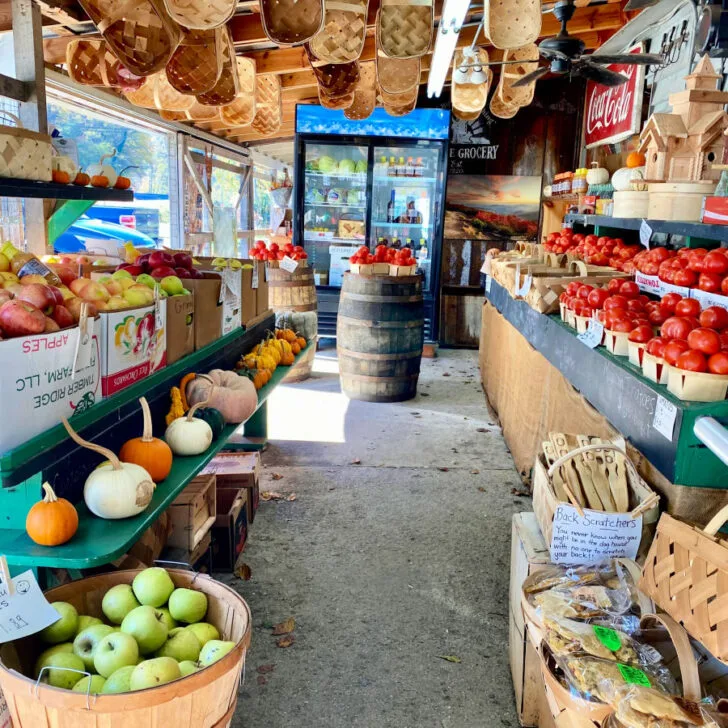 Discover the Magic of Blairsville, Georgia – A Gem in the Appalachian Mountains