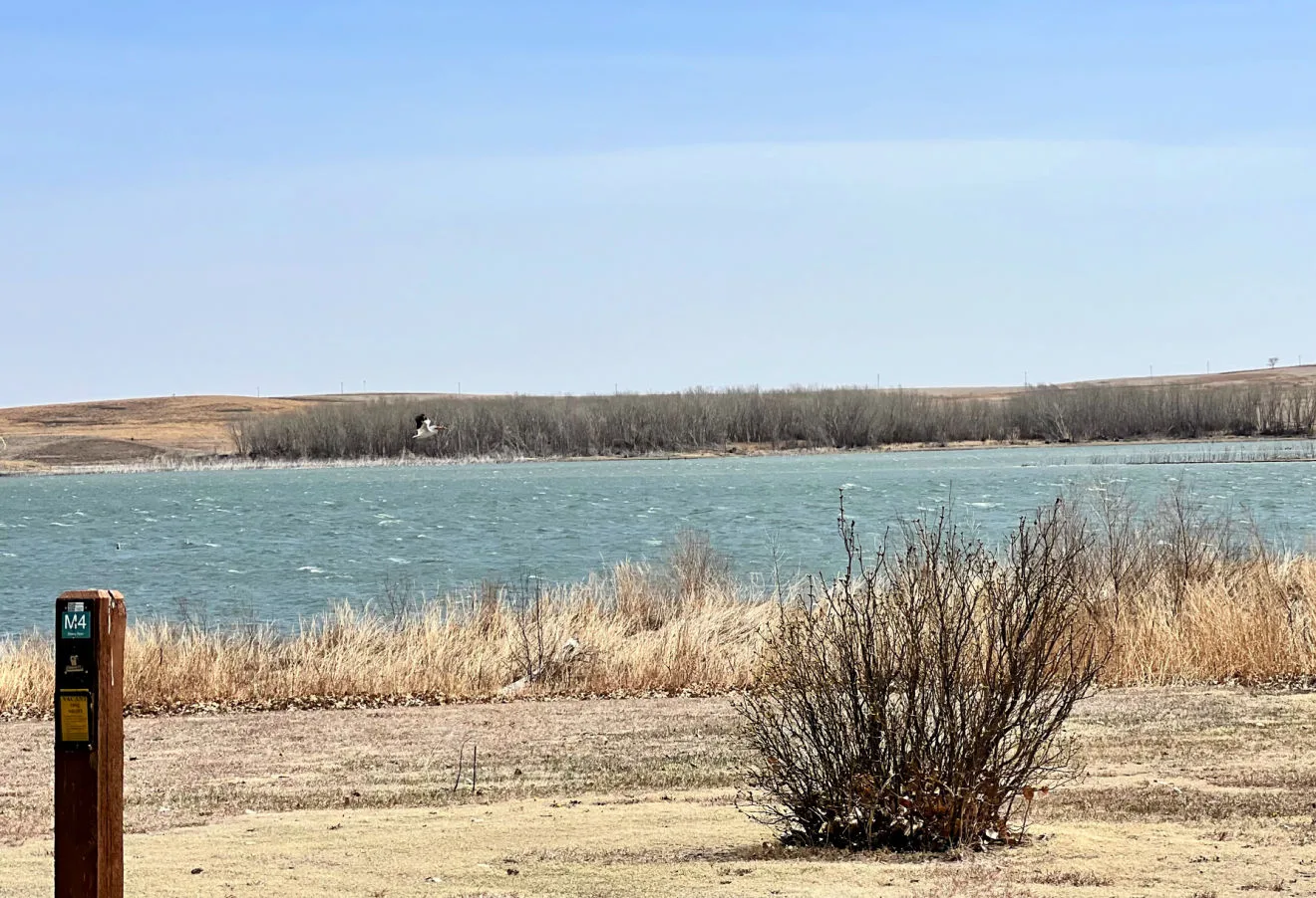 prairie-dog-state-park-bird-flying