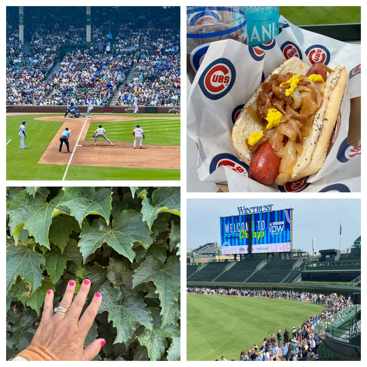 wrigley-field-cubs-game