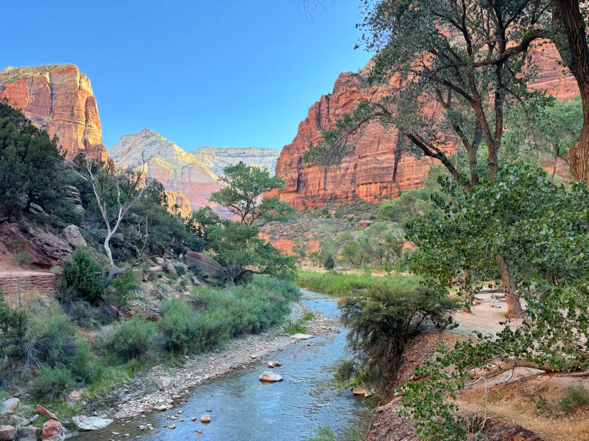 zion-national-park-water-and-mountain-view
