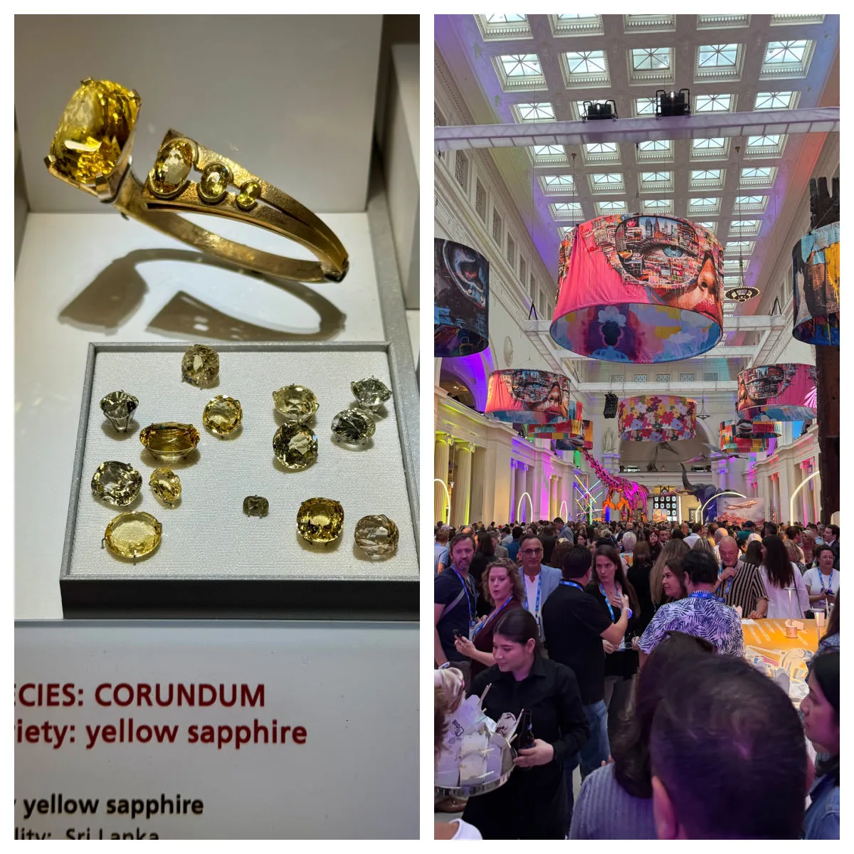 field-museum-natural-history