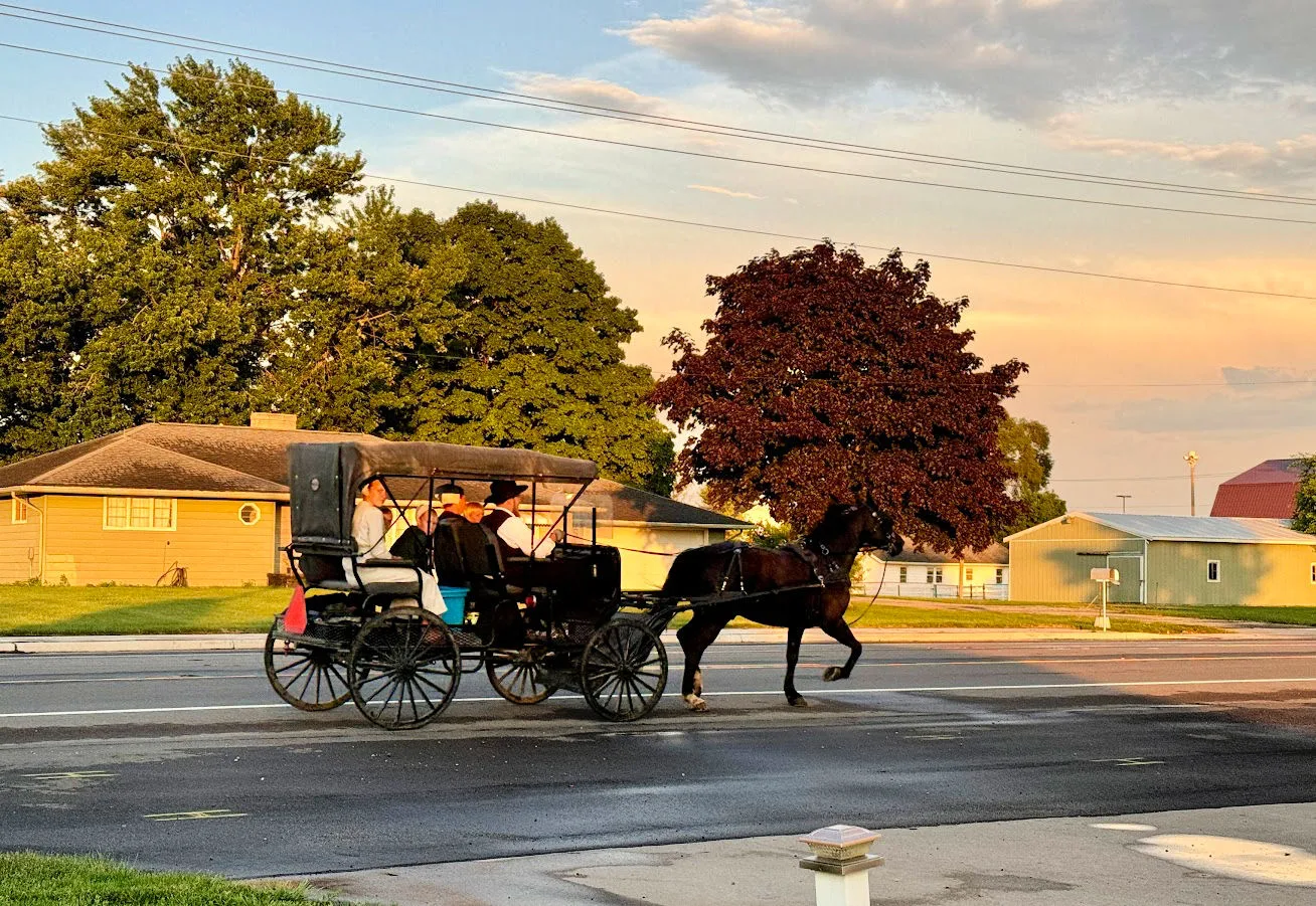 horse-drawn-carriage-ride
