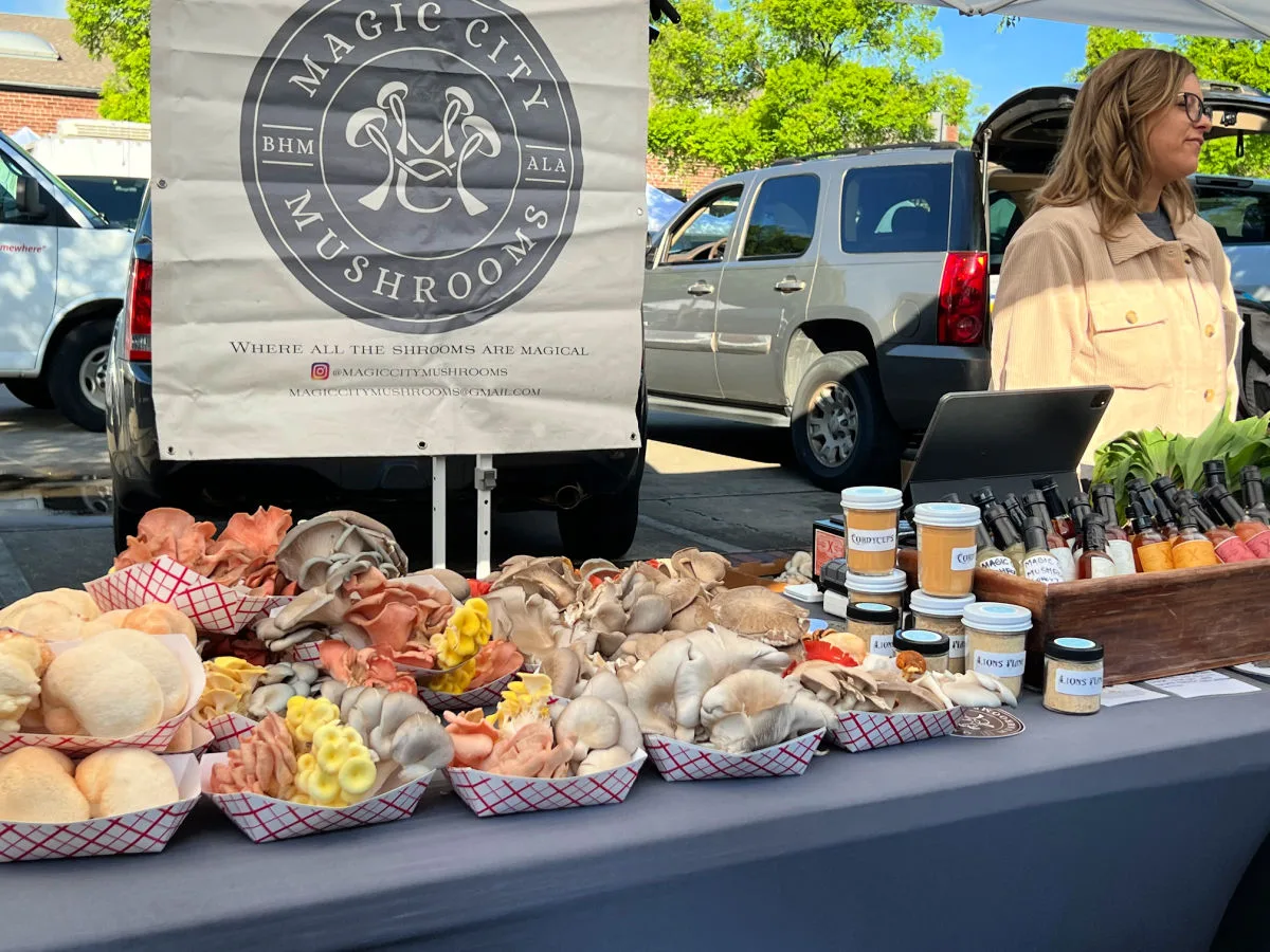 magic-city-mushrooms