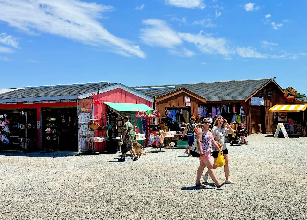 shipshewana-flea-market-shoppers