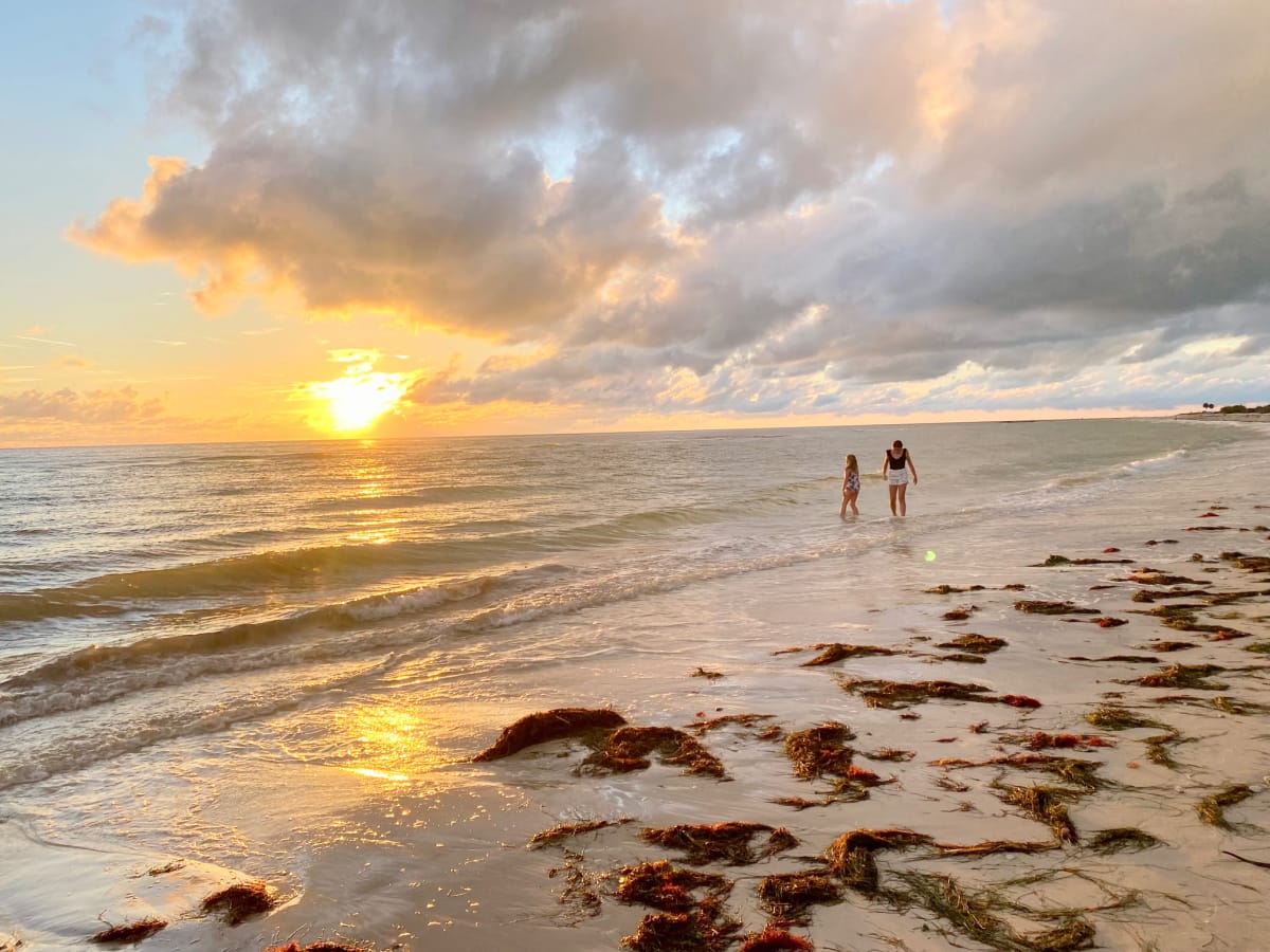 dunedin-beach-at-sunset