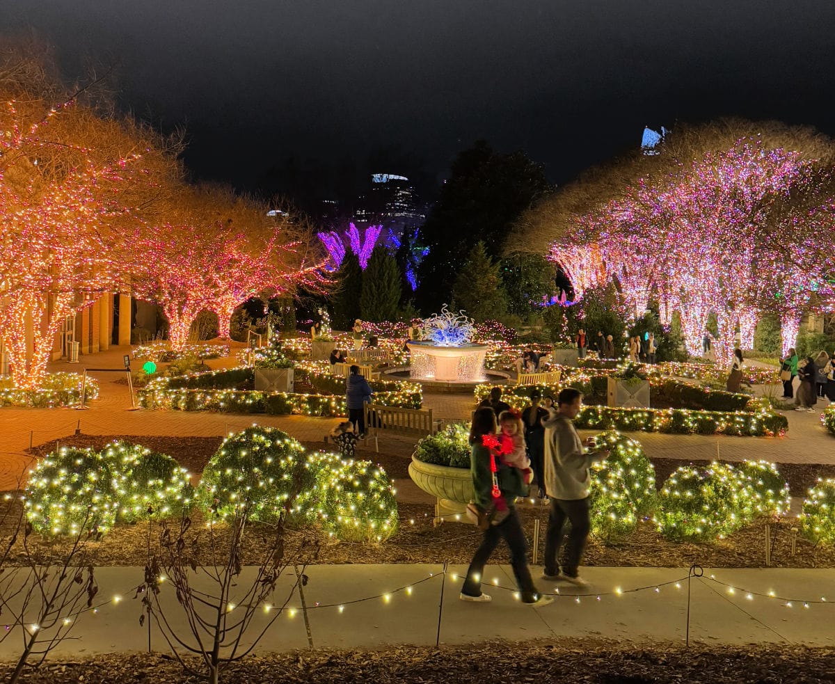 atlanta-botanical-garden-at-night