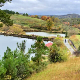 blue-ridge-mountain-views