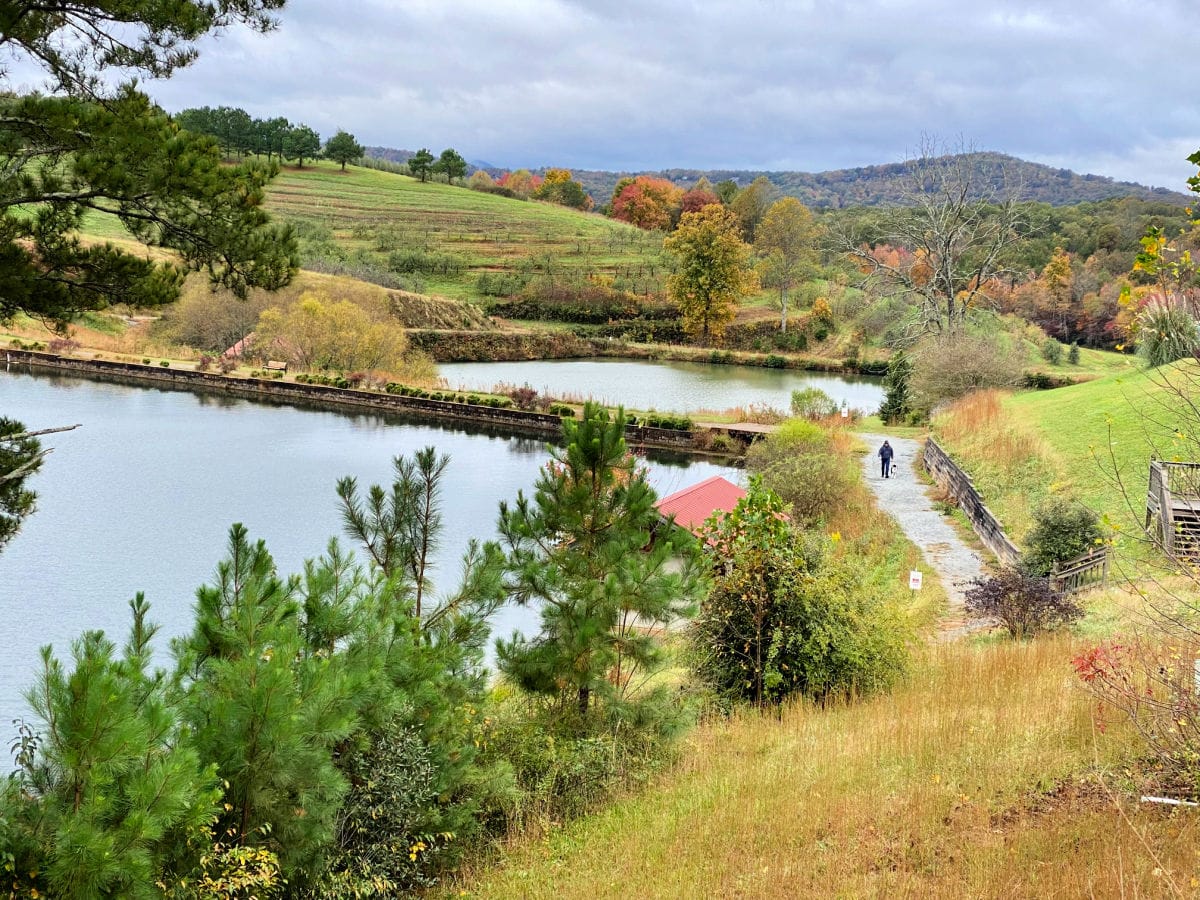 blue-ridge-mountain-views