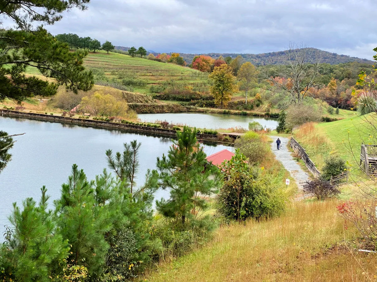 blue-ridge-mountain-views
