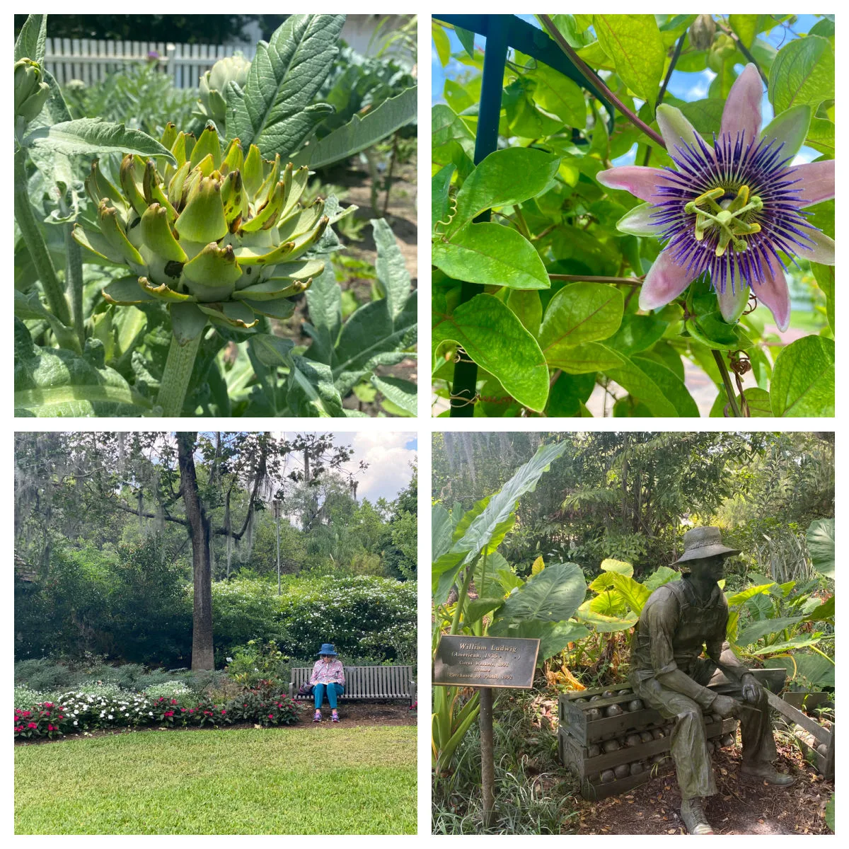 harry-leu-gardens-florida-flowers-and-sculpture