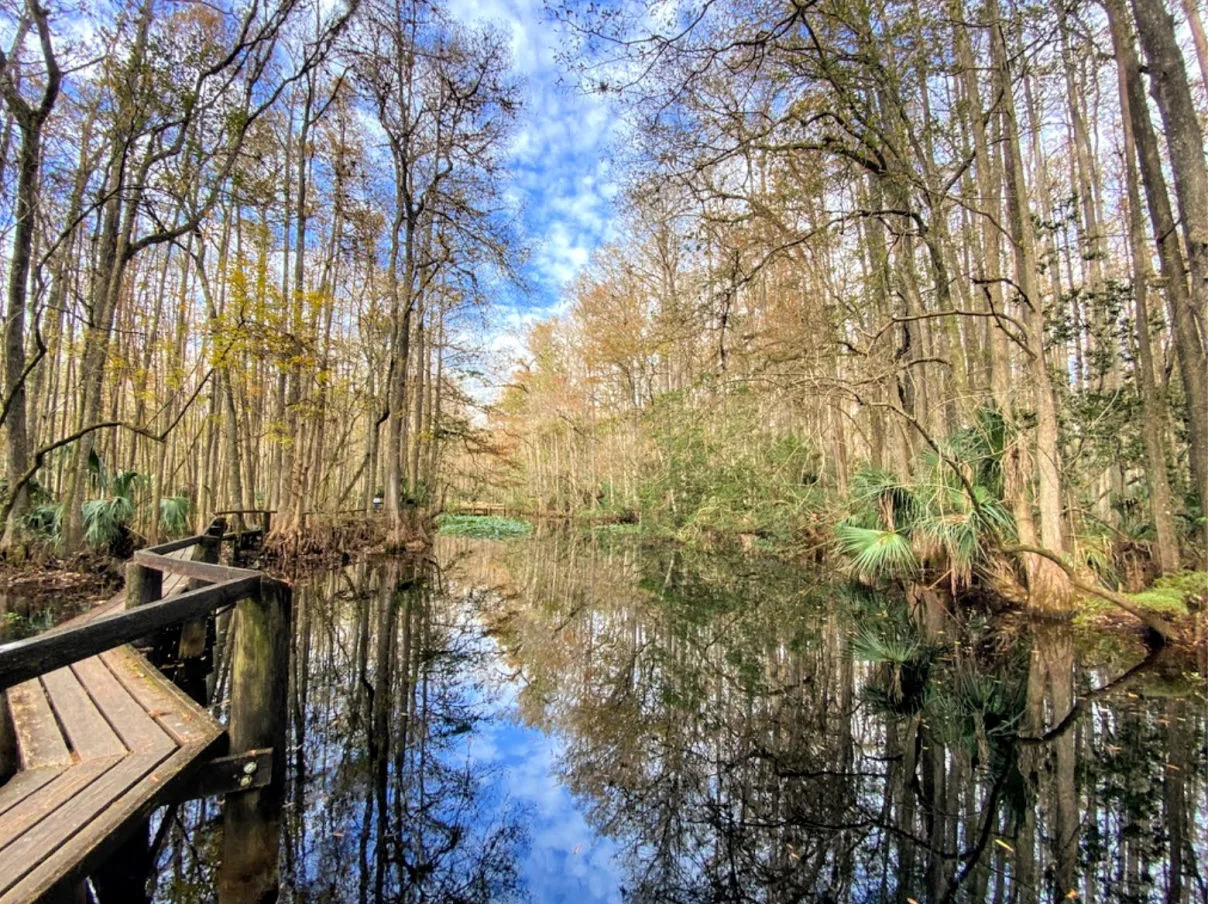 highlands-hammock-state-park