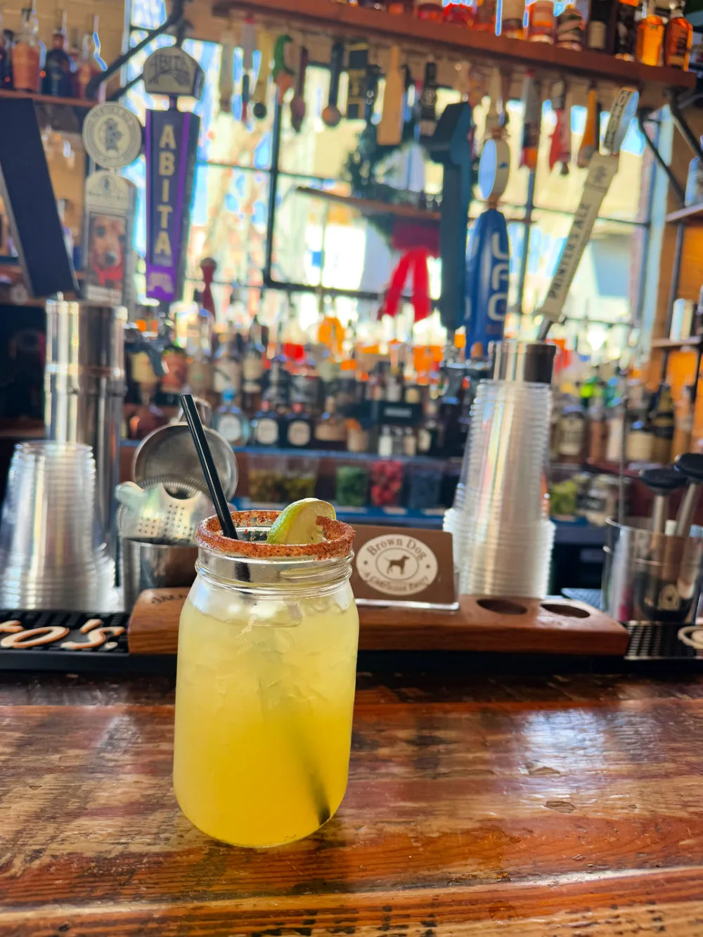 margarita-from-brown-dog-eatery