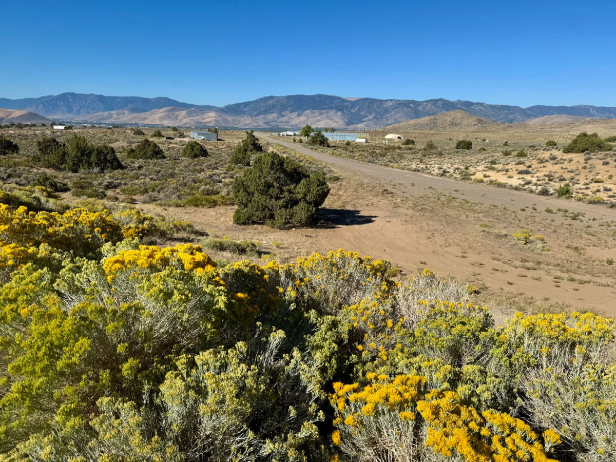carson-city-fall-foliage