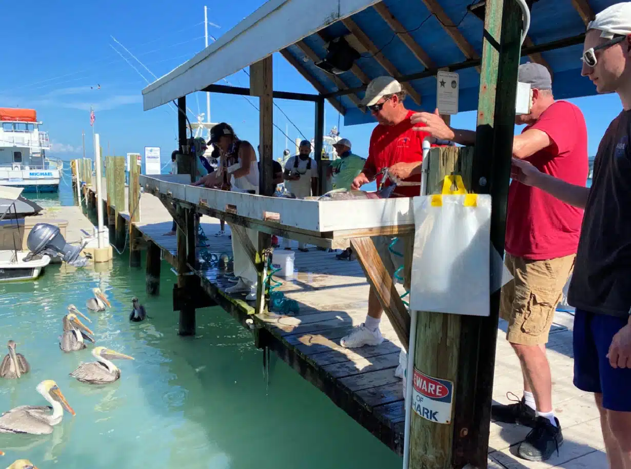 fishing-in-islamorada