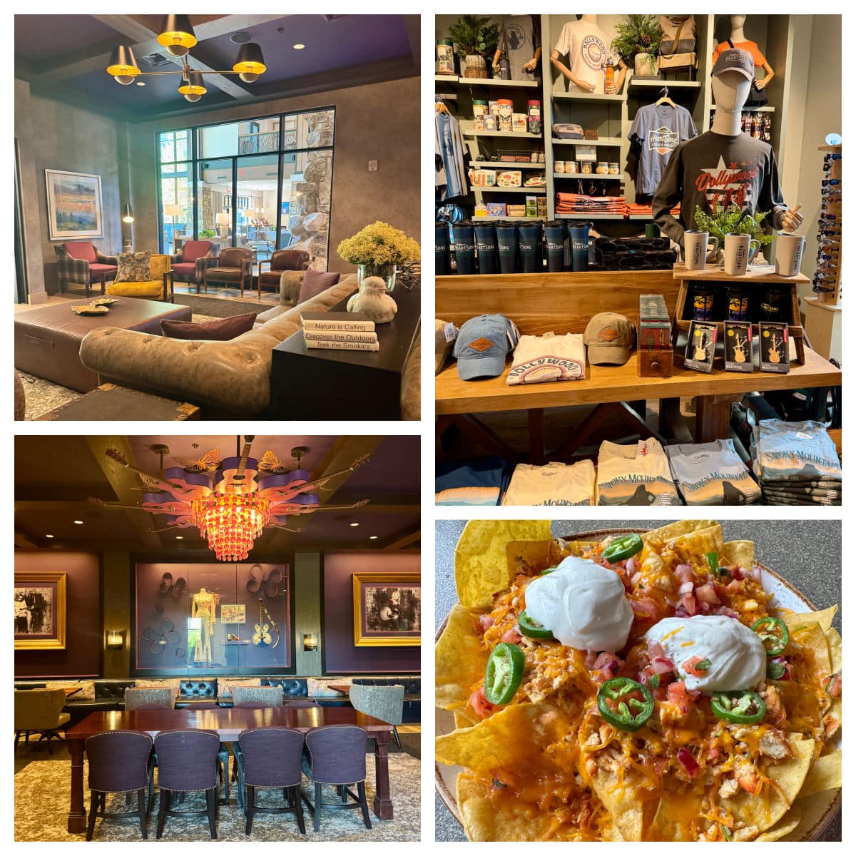 heartsong-lodge-common-rooms-and-nachos