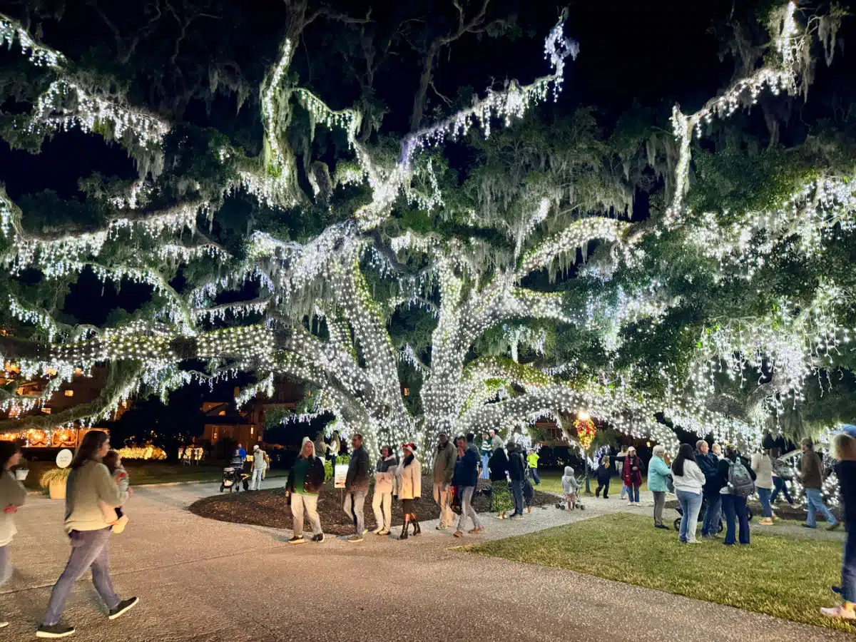 holly-jolly-jekyll-lighted-tree